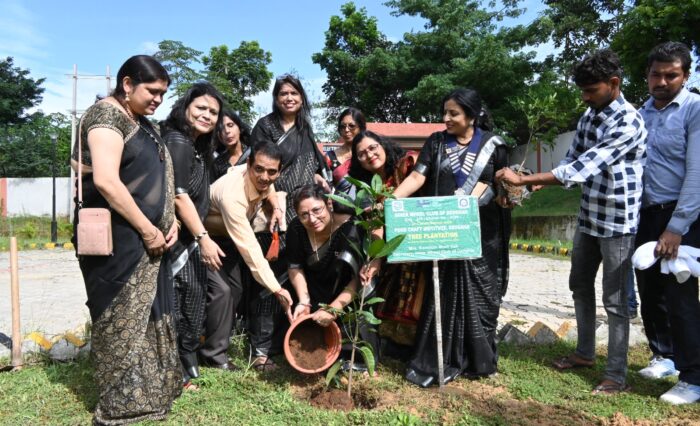 tree plantation (14)